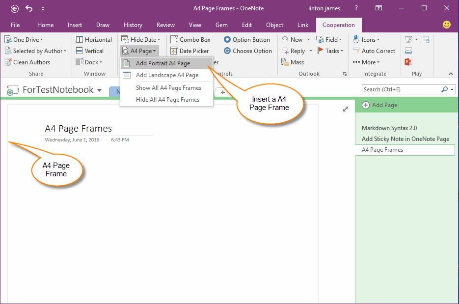 how to edit sections in onenote on macbook