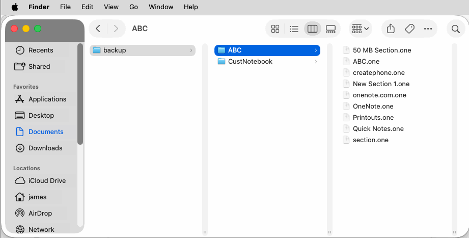 Review the Local Backup .one Files