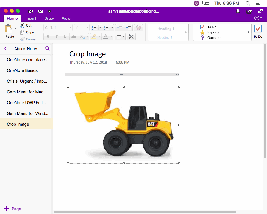 Cropped Image Shown in Mac OneNote