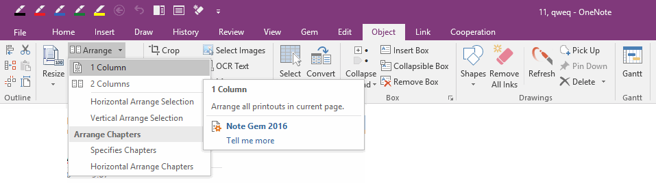 Rearrange the printouts of PDF using OneNote Gem.
