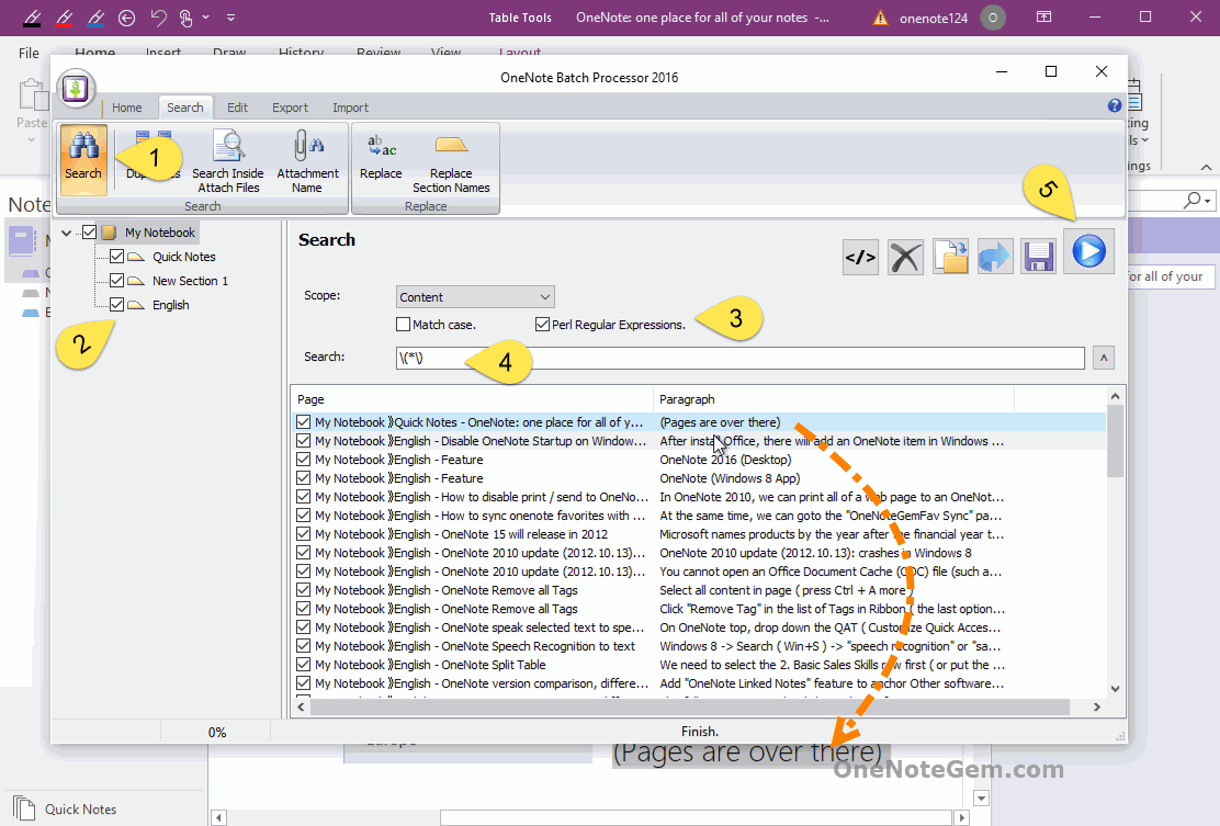 Use Regular Expressions to Find OneNote Paragraphs