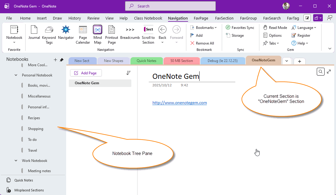 The "OneNoteGem" Section cannot be seen in the "Notebook Tree Pane"