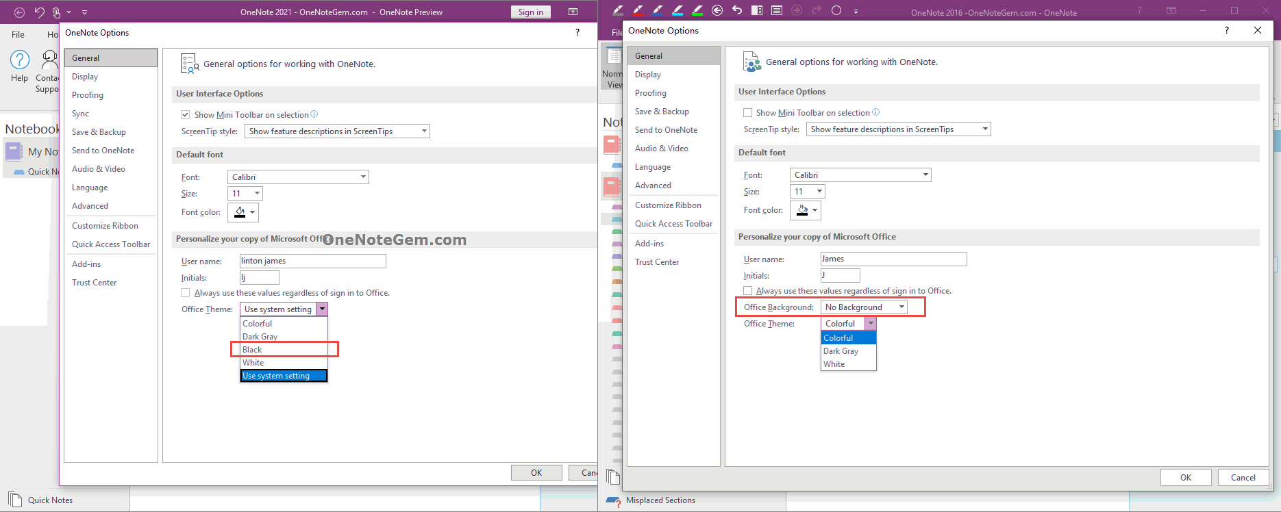 onenote 365 download